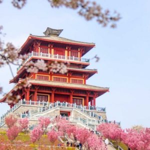 Tour Tây An - Lạc Dương - Trịnh Châu 7N6Đ (Đường bay, No shopping)